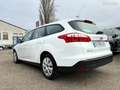 Ford Focus SW 1.6 16V 105CH TREND Blanc - thumbnail 15