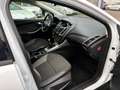 Ford Focus SW 1.6 16V 105CH TREND Blanc - thumbnail 13