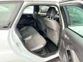 Ford Focus SW 1.6 16V 105CH TREND Blanc - thumbnail 12