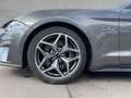 Ford Mustang Fastback 5.0 Ti-VCT V8 Aut. GT Grau - thumbnail 9