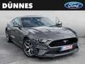 Ford Mustang Fastback 5.0 Ti-VCT V8 Aut. GT Grau - thumbnail 10
