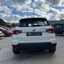 SEAT Arona 1.0 TSI Ecomotive S&S Style 110 Weiß - thumbnail 4