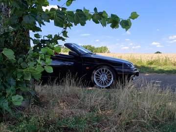 Spider 3.0 V6 24V Zahnriemen NEU, EL.Verdeck