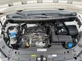 Volkswagen Caddy 2.0 TDI 102ch Business Line Plus 11 075HT Blanc - thumbnail 12