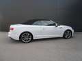 Audi A5 40 TFSI S line Weiß - thumbnail 11