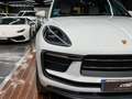 Porsche Macan T Aut. Blanc - thumbnail 34
