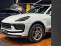 Porsche Macan T Aut. Blanc - thumbnail 6