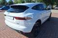 Jaguar E-Pace E-Pace 2.0D 150 CV AWD aut. S Bianco - thumbnail 4