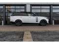 Land Rover Range Rover P440e/Pano/Massage/Black roof/Black pack/Air Susp. Blanc - thumbnail 5