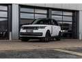 Land Rover Range Rover P440e/Pano/Massage/Black roof/Black pack/Air Susp. Blanc - thumbnail 2