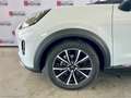 Ford Puma 1.0 EcoBoost Hyb. 125 CV Tit. Bianco - thumbnail 12