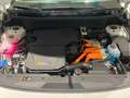Kia Niro 1.6 PHEV DCT SPI TEC Weiß - thumbnail 15