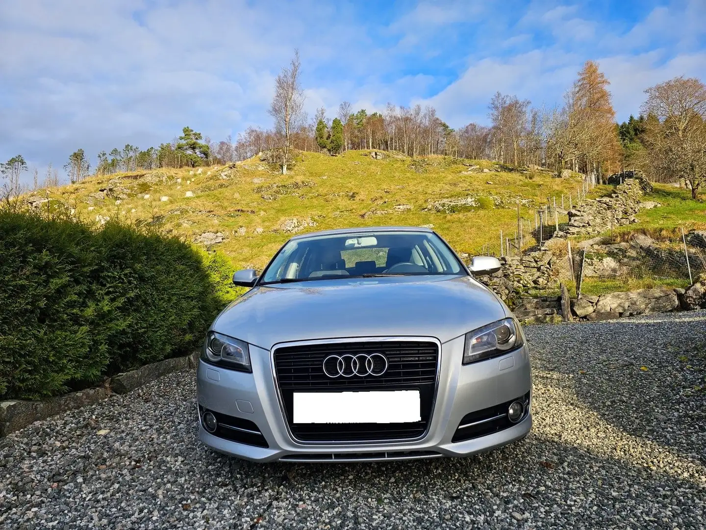 Audi A3 A3 5p 1.6 Ambition 102cv - 2