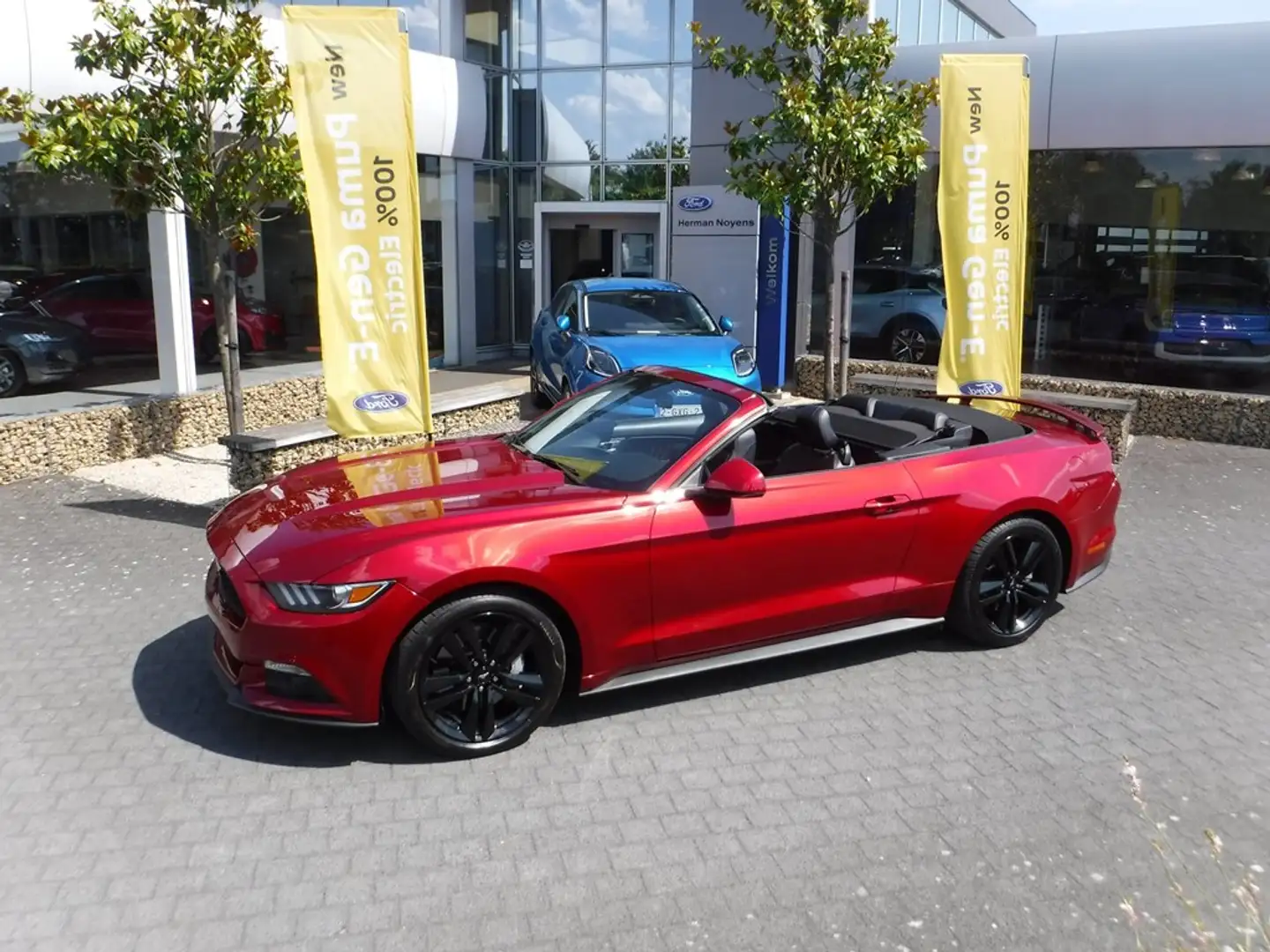Ford Mustang Cabrio EcoBoost Rood - 1