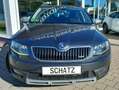 Skoda Octavia Scout 4x4 Grau - thumbnail 1