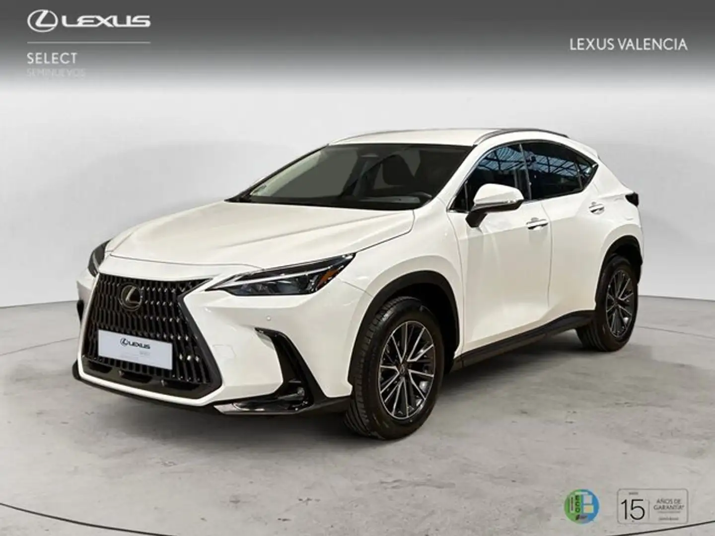 Lexus NX 350h 2WD PREMIUM+ PREMIUM+ Weiß - 1