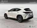 Lexus NX 350h 2WD PREMIUM+ PREMIUM+ Weiß - thumbnail 2