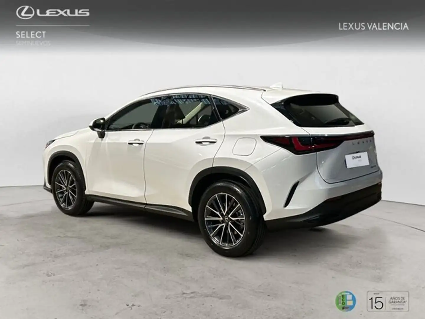 Lexus NX 350h 2WD PREMIUM+ PREMIUM+ Weiß - 2