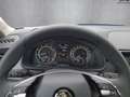 Skoda Kamiq Ambition 1.0 TSI DSG Bluetooth LED Klima Blau - thumbnail 17