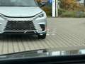 Lexus UX 250h Executive Line LED, Schiebedach, HUD, Navi Grau - thumbnail 17