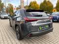 Lexus UX 250h Executive Line LED, Schiebedach, HUD, Navi Grau - thumbnail 5
