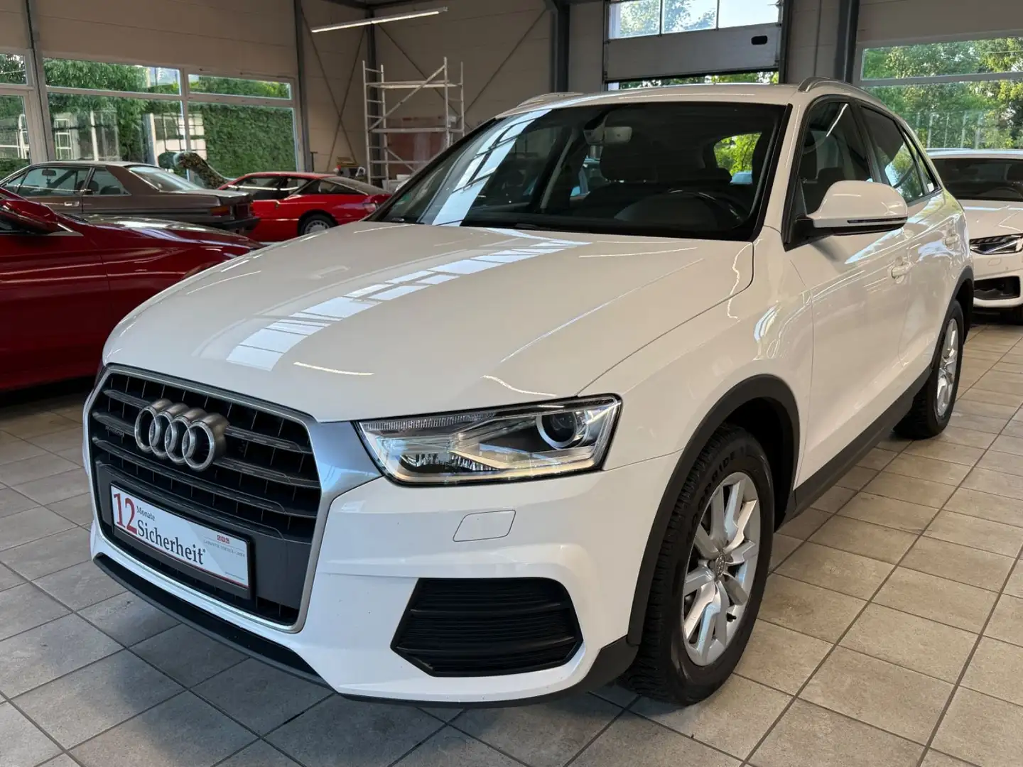 Audi Q3 2.0 TDI quattro S-Tronic / AHK / Xenon / Navi Weiß - 1