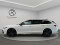Volkswagen Passat Variant B9 2.0 TDI 4Motion DSG R-Line Signature Weiß - thumbnail 18