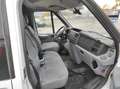 Ford Transit FT 350 M LKW HOCH 2.2 *TÜV NEU* ALLWETTER SERVO Weiß - thumbnail 12