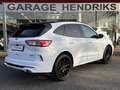 Ford Kuga 2.5 PHEV ST-Line X Black Edition | Two Tone | Adap Blanc - thumbnail 7