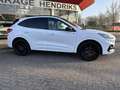 Ford Kuga 2.5 PHEV ST-Line X Black Edition | Two Tone | Adap Blanc - thumbnail 5