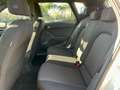 SEAT Arona 1.0 ecotsi Xcellence 95cv Bianco - thumbnail 7