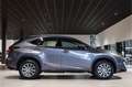 Lexus NX 300h AWD Business Line Dealer onderhouden|Mercury Grey| Grijs - thumbnail 3