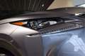 Lexus NX 300h AWD Business Line Dealer onderhouden|Mercury Grey| Grijs - thumbnail 22