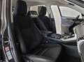 Lexus NX 300h AWD Business Line Dealer onderhouden|Mercury Grey| Grijs - thumbnail 6