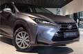 Lexus NX 300h AWD Business Line Dealer onderhouden|Mercury Grey| Grijs - thumbnail 35