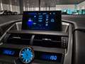 Lexus NX 300h AWD Business Line Dealer onderhouden|Mercury Grey| Grijs - thumbnail 13