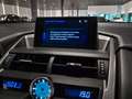 Lexus NX 300h AWD Business Line Dealer onderhouden|Mercury Grey| Grijs - thumbnail 17