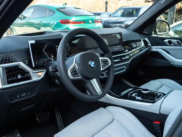 BMW X5 X5 view 12