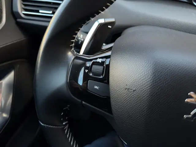 Peugeot 308 view 18
