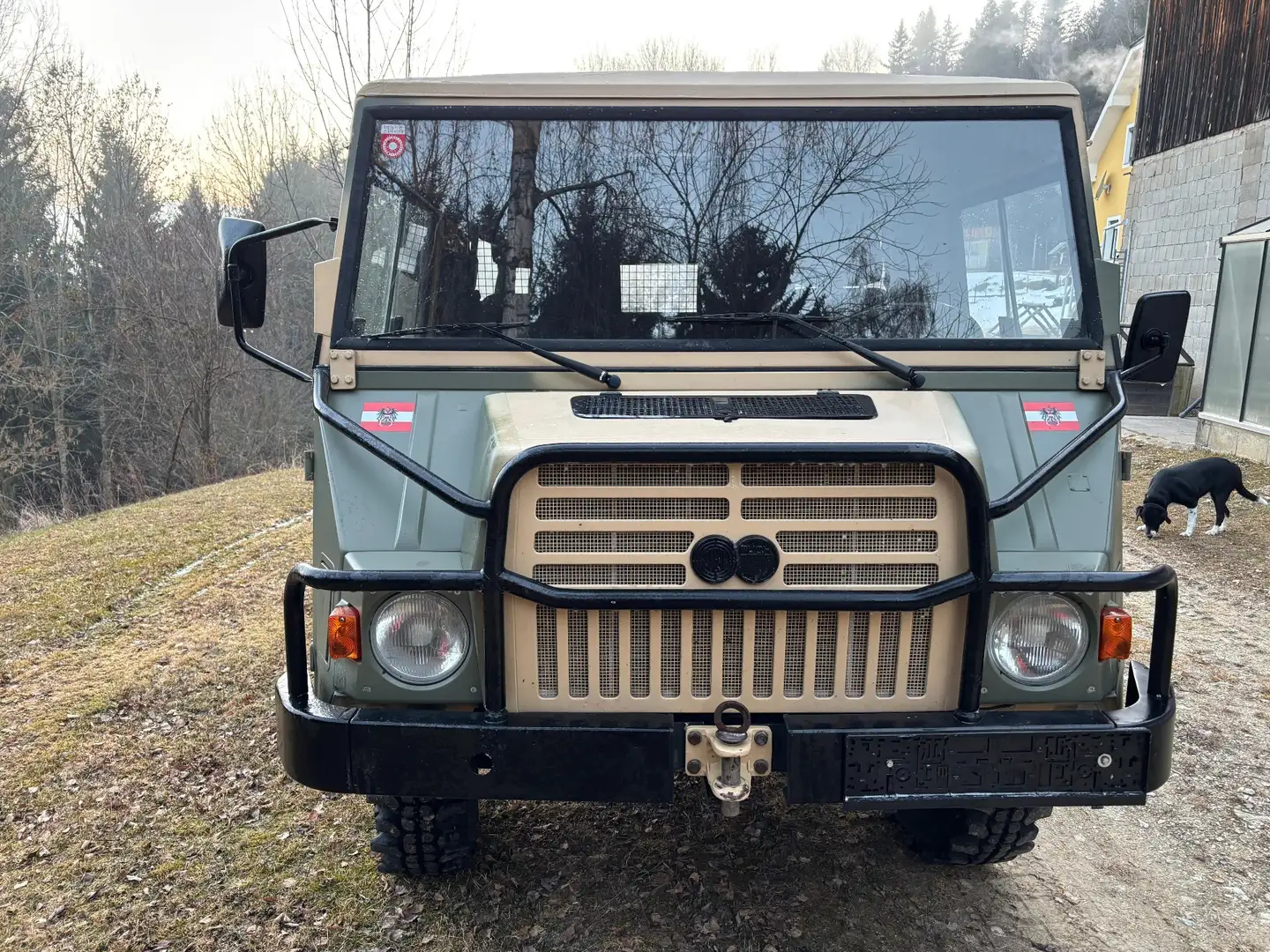 Puch Pinzgauer - 2