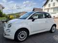 Fiat 500 500 1.2 8V Lounge Weiß - thumbnail 1