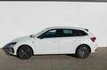 Skoda Scala Drive Matrix Panorama Navi Parklenk Weiß - thumbnail 3