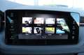 Skoda Scala Drive Matrix Panorama Navi Parklenk Weiß - thumbnail 12