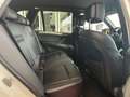 BMW X5 X5 xDrive30d Alb - thumbnail 12