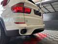 BMW X5 X5 xDrive30d Alb - thumbnail 26