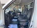 Fiat Ducato JUMPER HDI 130CV  *** CASSONE RIBALTABILE Bianco - thumbnail 15