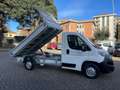 Fiat Ducato JUMPER HDI 130CV  *** CASSONE RIBALTABILE Bianco - thumbnail 2