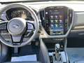 Subaru Forester Exclusive Vollausstattung Grau - thumbnail 14