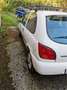 Ford Fiesta Fiesta 3p 1.2 Techno c/AC,SS Bianco - thumbnail 1