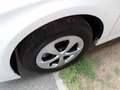 Toyota Prius Solar Premium + Plug in 1.8 Weiß - thumbnail 11